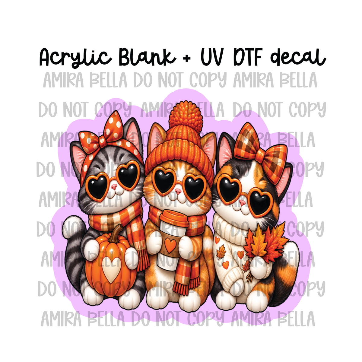 Cozy Kittens